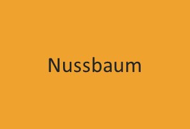 Justicia distributiva sustantiva de las capacidades: Nussbaum